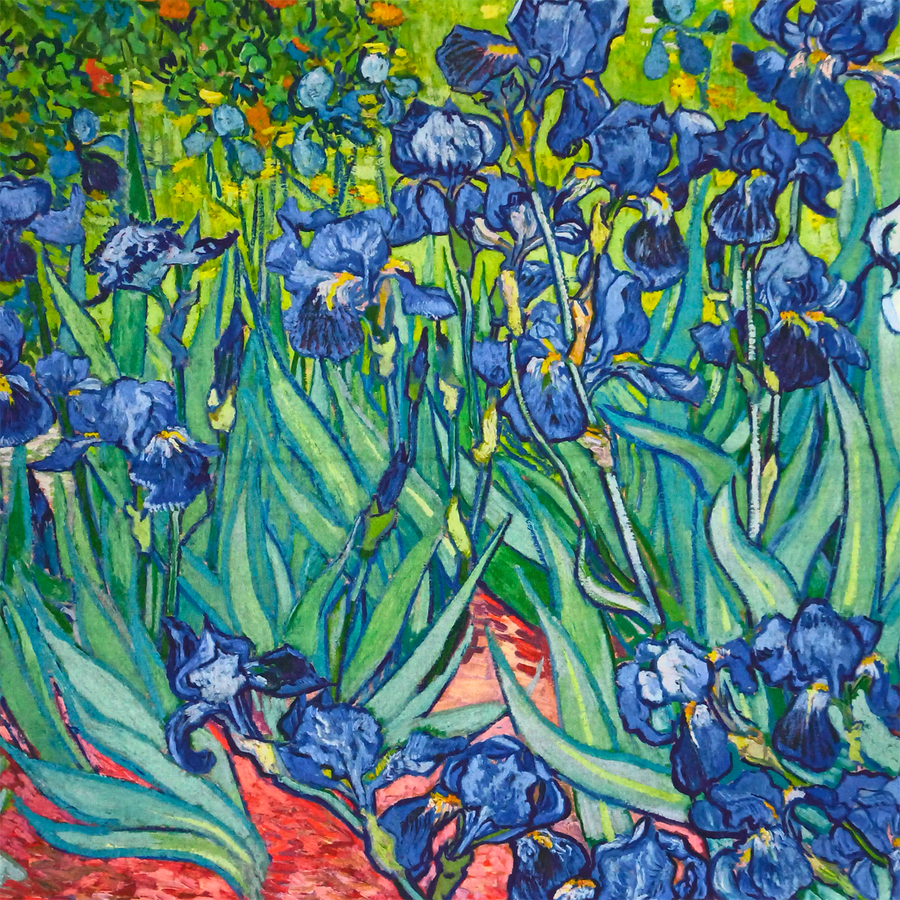 Sciarpa d' autore raffigurante il quadro IRIS di Van Gogh - Intimo  Altieri - Shop