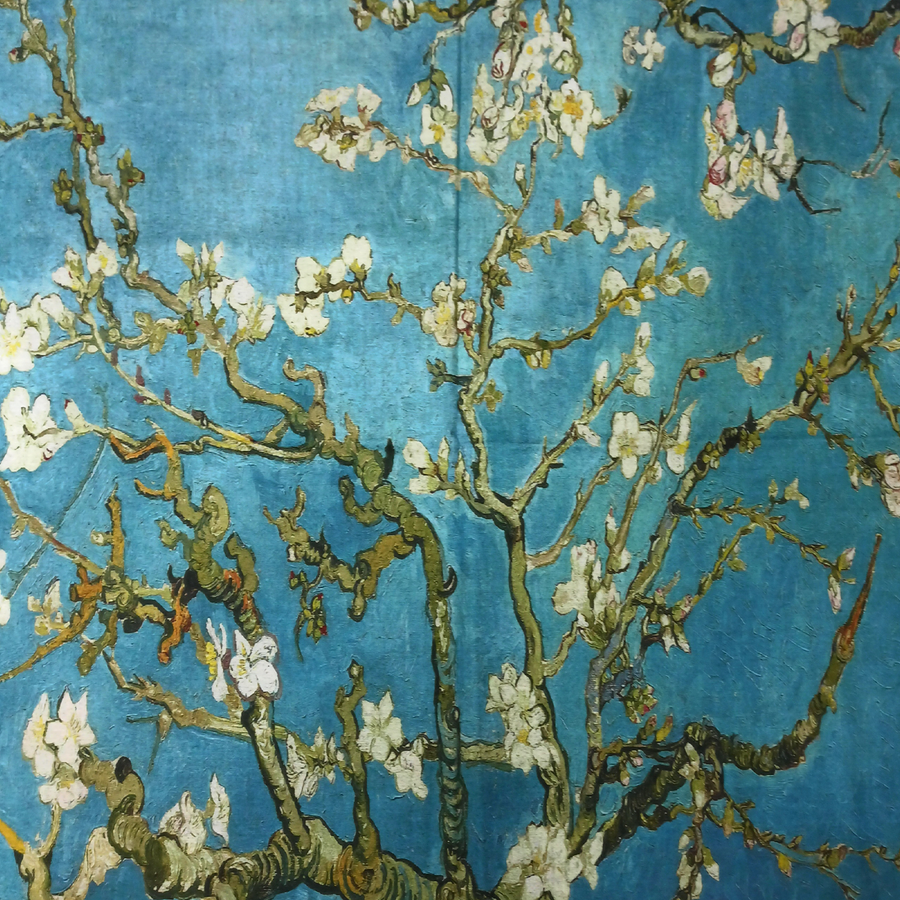 Completo d' autore sciarpa più guanti raffigurante il quadro "IL MANDORLO FIORITO" di Van Gogh - immagine 6